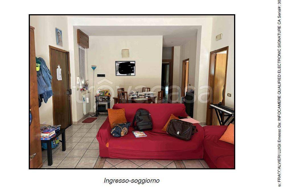 immagine annuncio 1 di 14