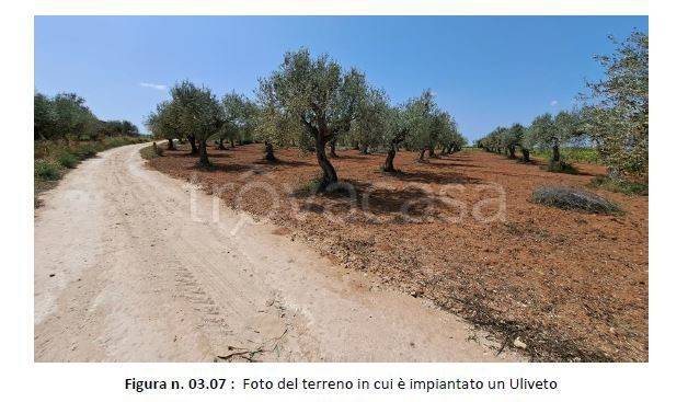 immagine annuncio 4 di 7