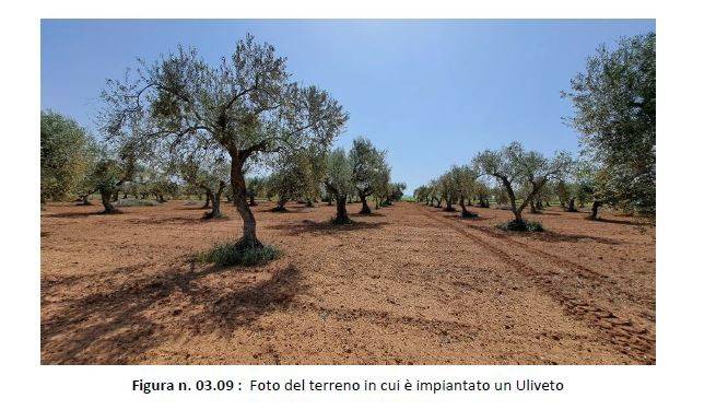 immagine annuncio 5 di 7