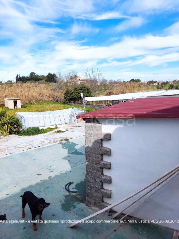 immagine annuncio 3 di 4