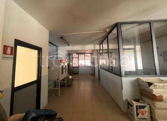 immagine annuncio 4 di 7