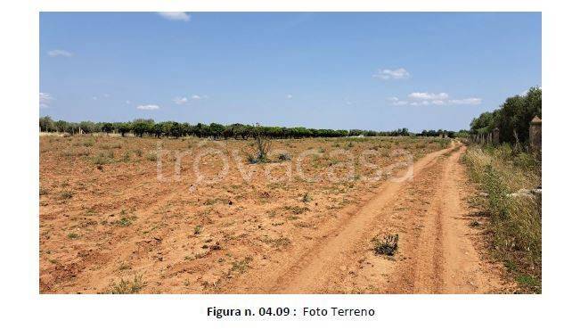 immagine annuncio 4 di 7