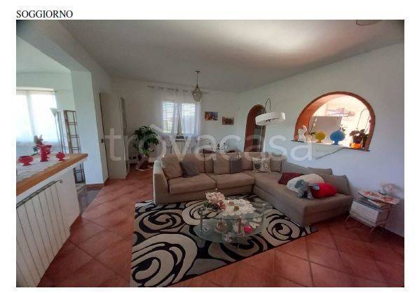 immagine annuncio 3 di 14