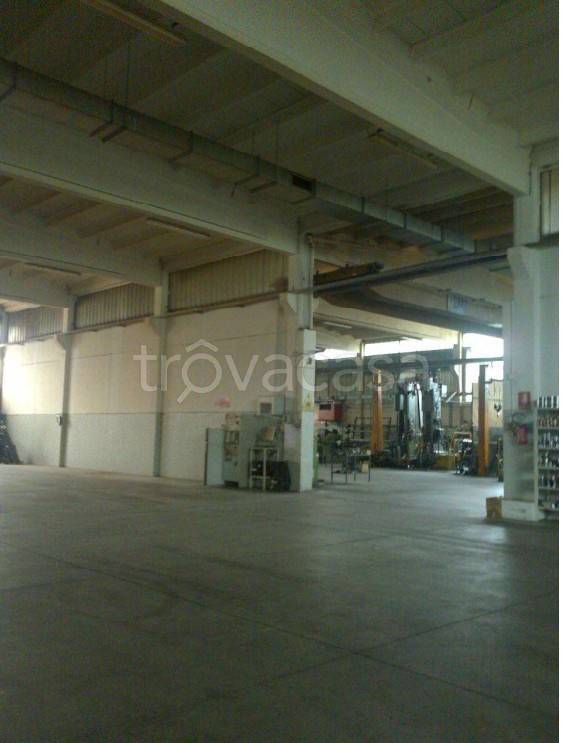 immagine annuncio 5 di 13