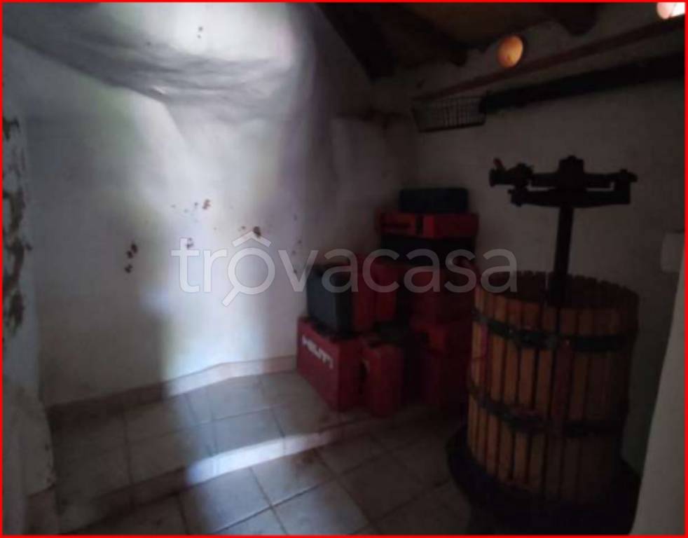 immagine annuncio 12 di 14