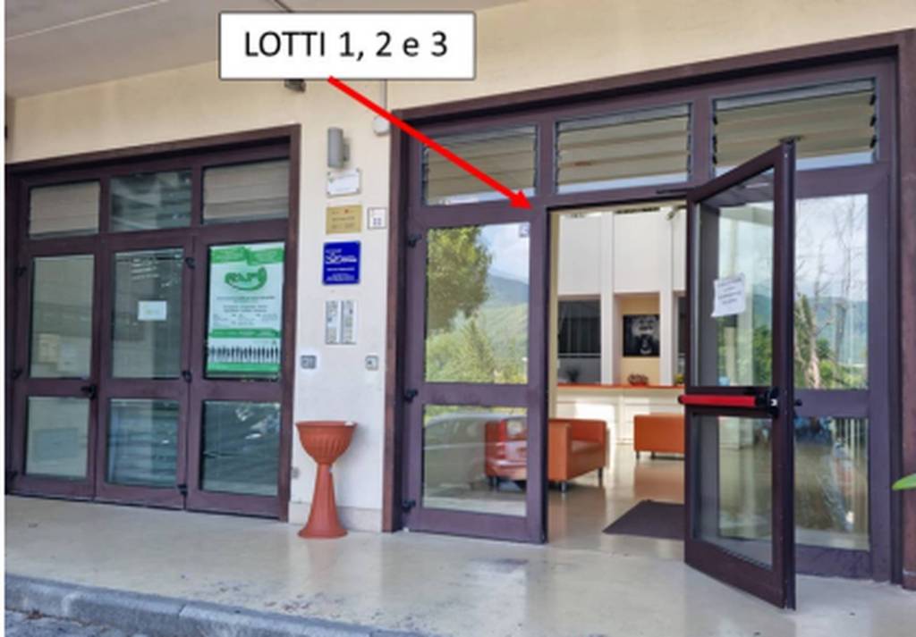 immagine annuncio 2 di 12