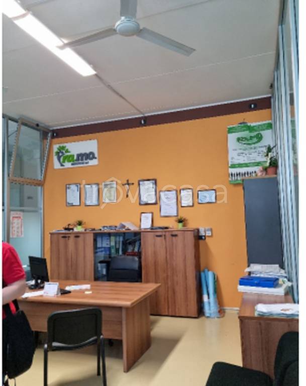 immagine annuncio 2 di 11