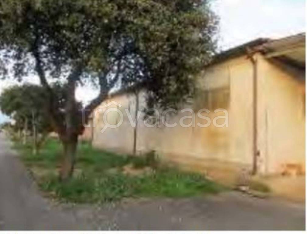 immagine annuncio 8 di 12