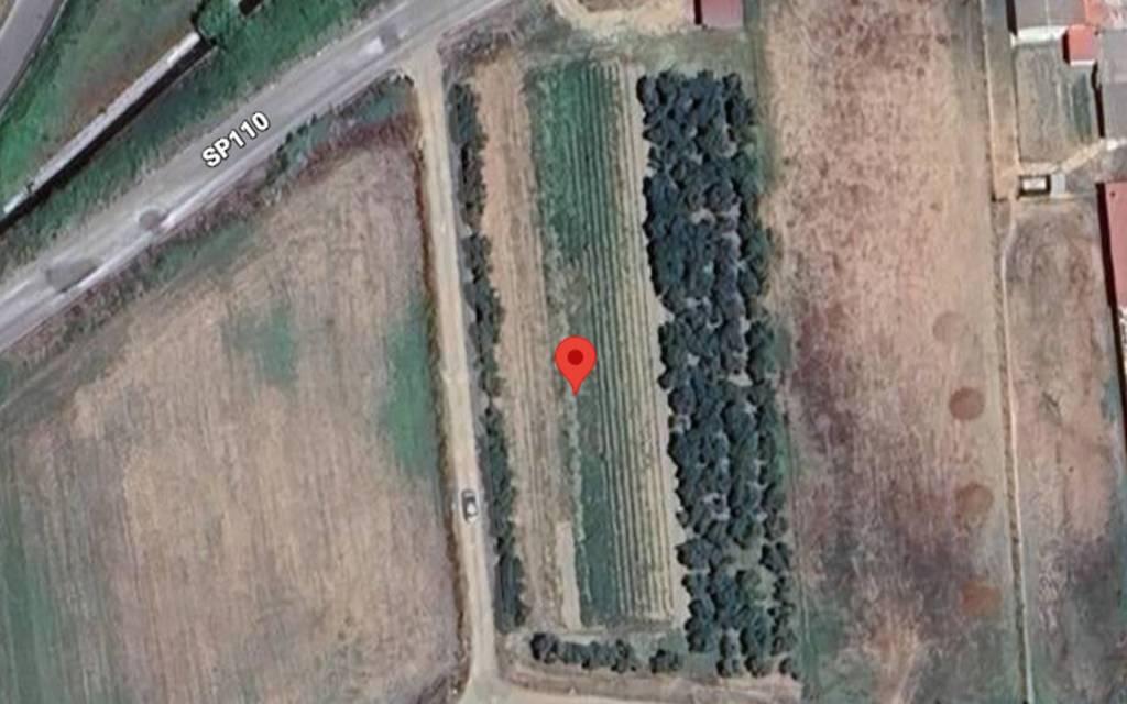 immagine annuncio 3 di 11