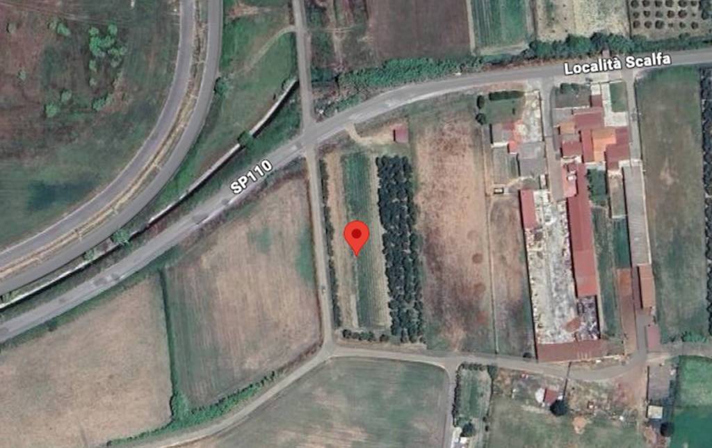 immagine annuncio 5 di 11