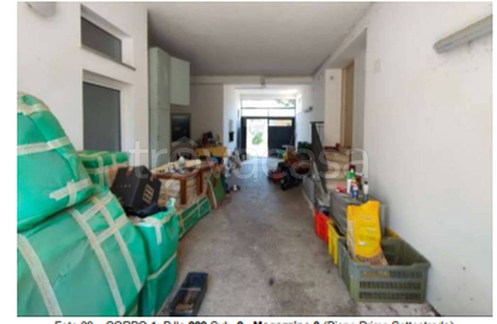 immagine annuncio 5 di 11