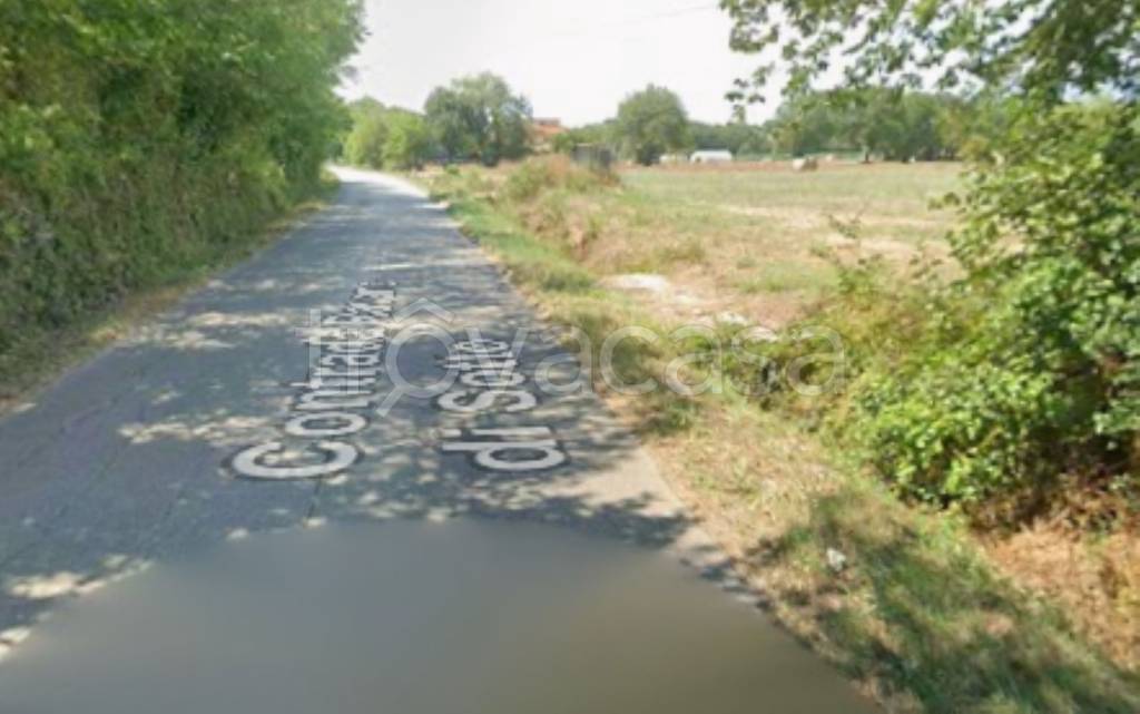 immagine annuncio 4 di 11