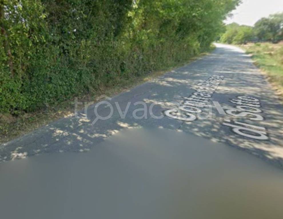 immagine annuncio 6 di 11