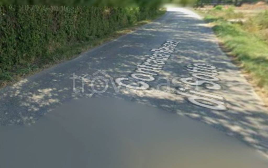 immagine annuncio 7 di 11