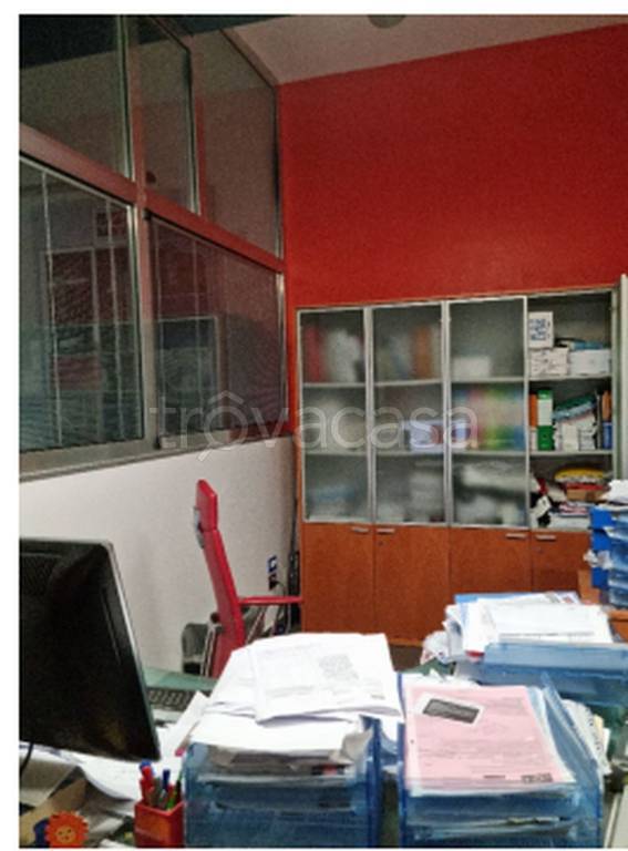 immagine annuncio 5 di 11