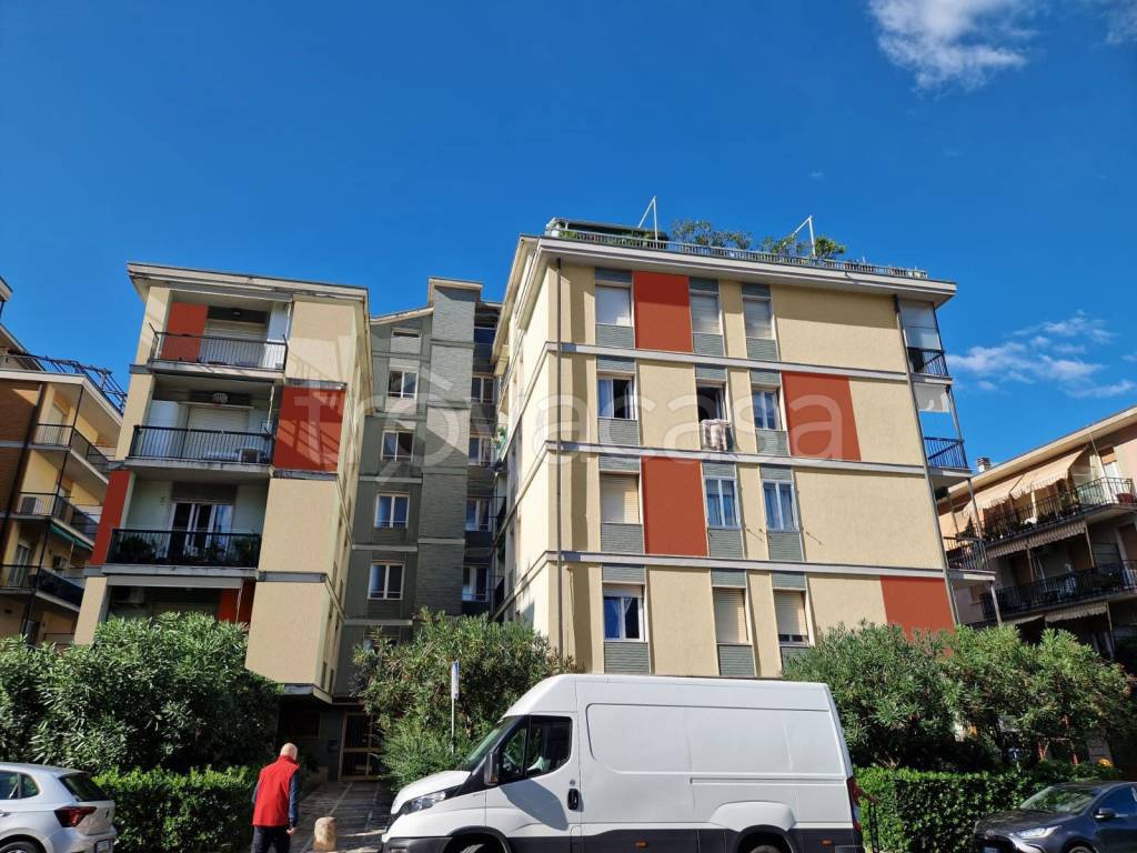 immagine annuncio 3 di 6