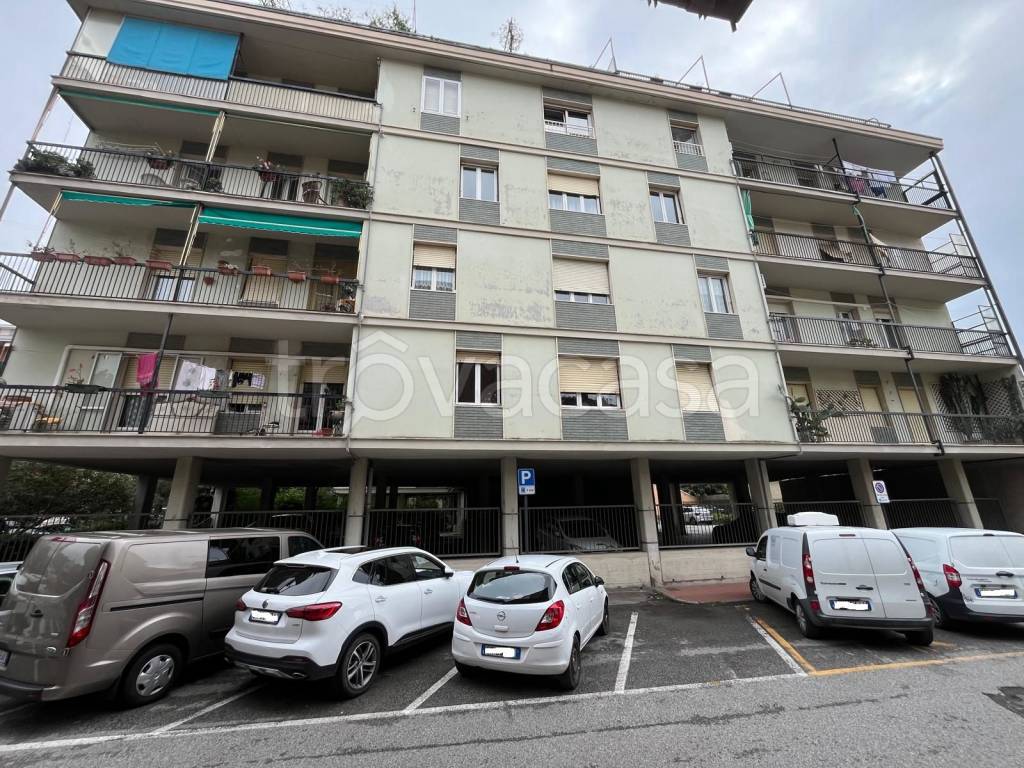 immagine annuncio 2 di 6