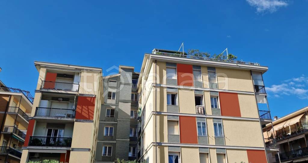 immagine annuncio 4 di 6