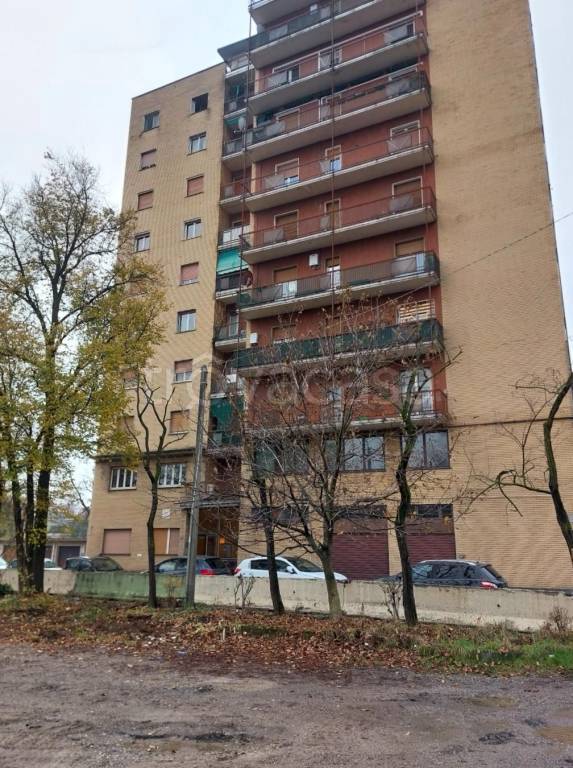 immagine annuncio 2 di 8