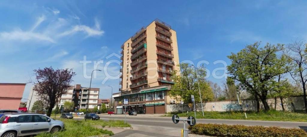 immagine annuncio 4 di 8