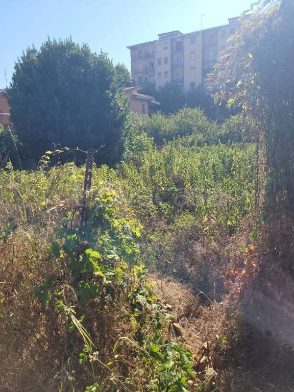 immagine annuncio 7 di 8