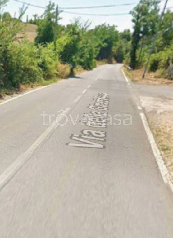 immagine annuncio 9 di 11