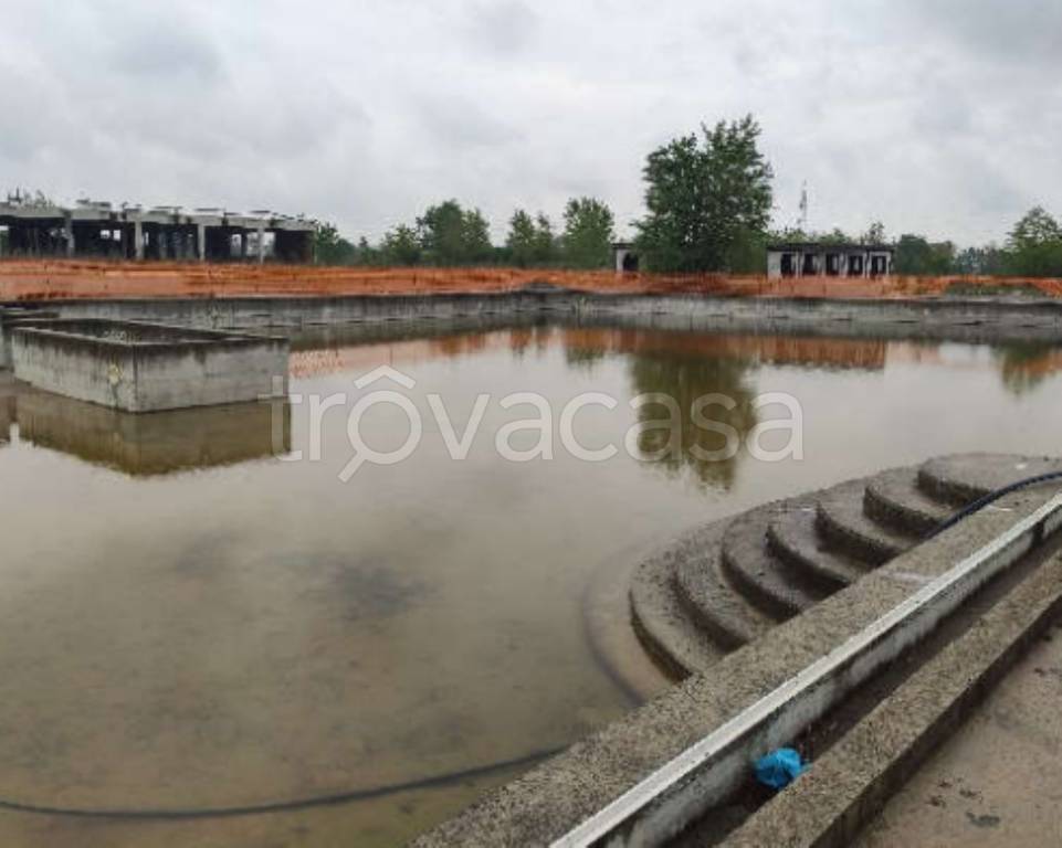 immagine annuncio 5 di 11