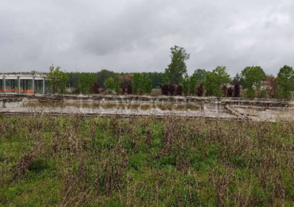 immagine annuncio 7 di 11