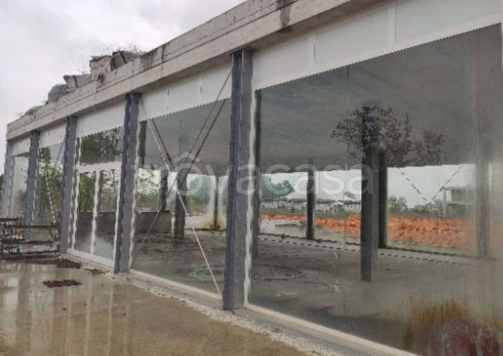 immagine annuncio 8 di 11