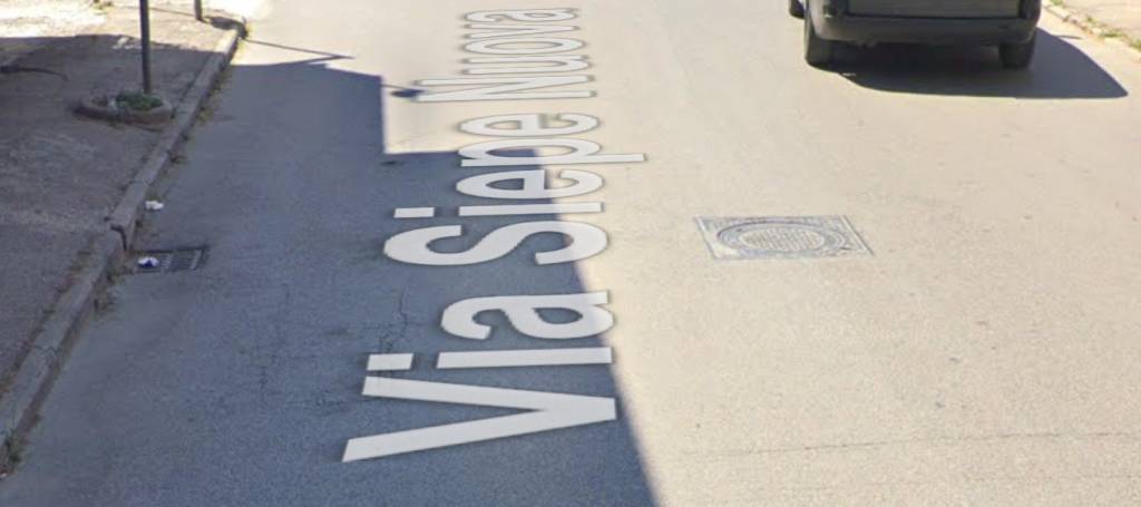 immagine annuncio 5 di 11