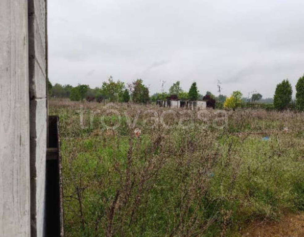 immagine annuncio 9 di 11