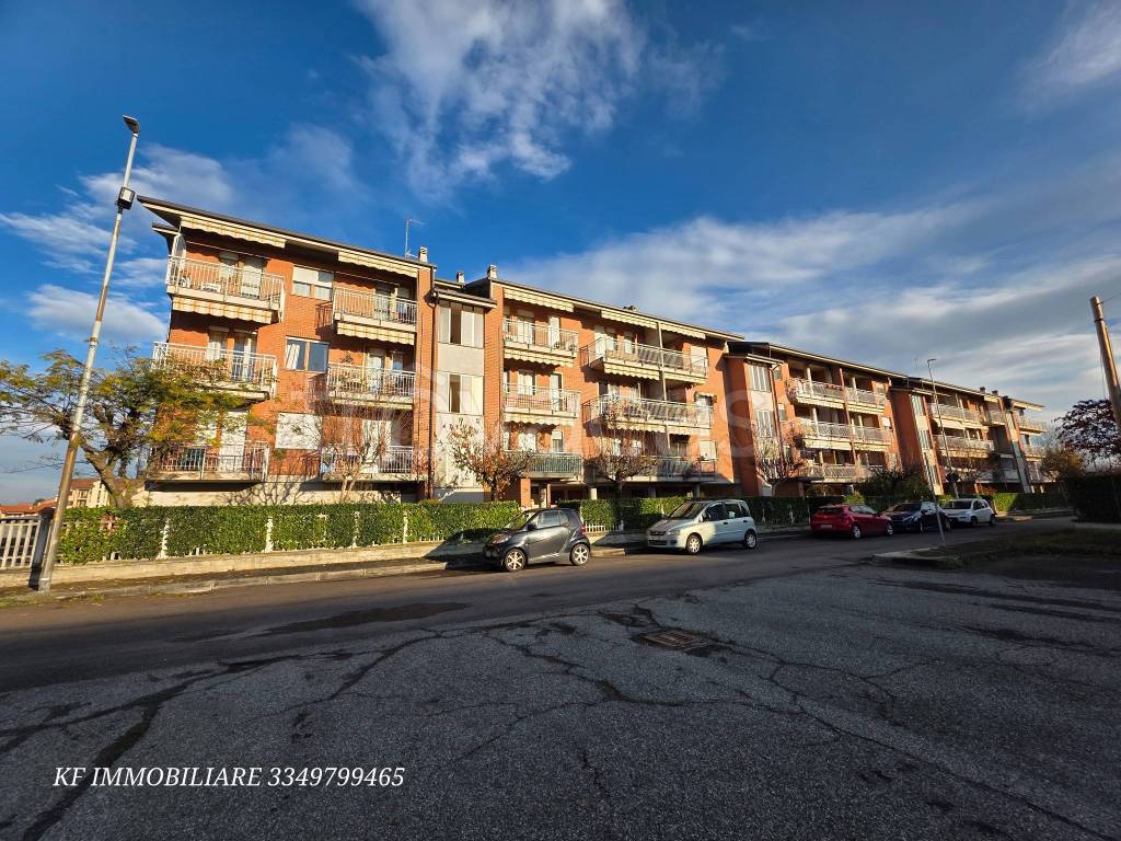 immagine annuncio 1 di 15