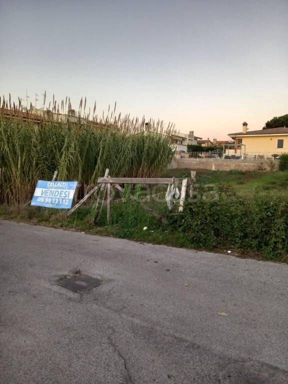 immagine annuncio 2 di 6