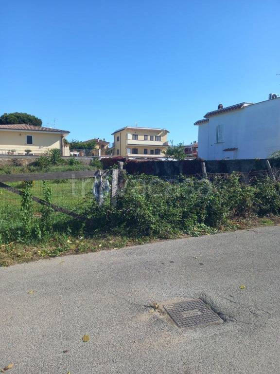 immagine annuncio 3 di 6