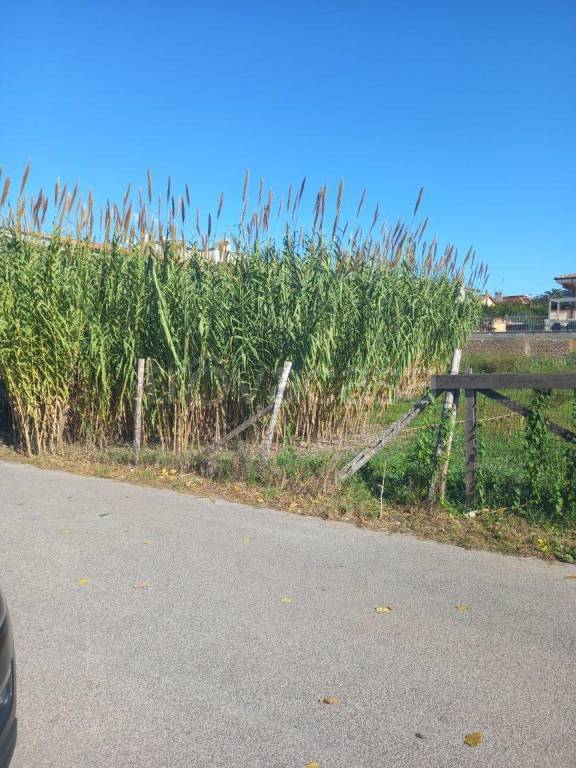 immagine annuncio 4 di 6