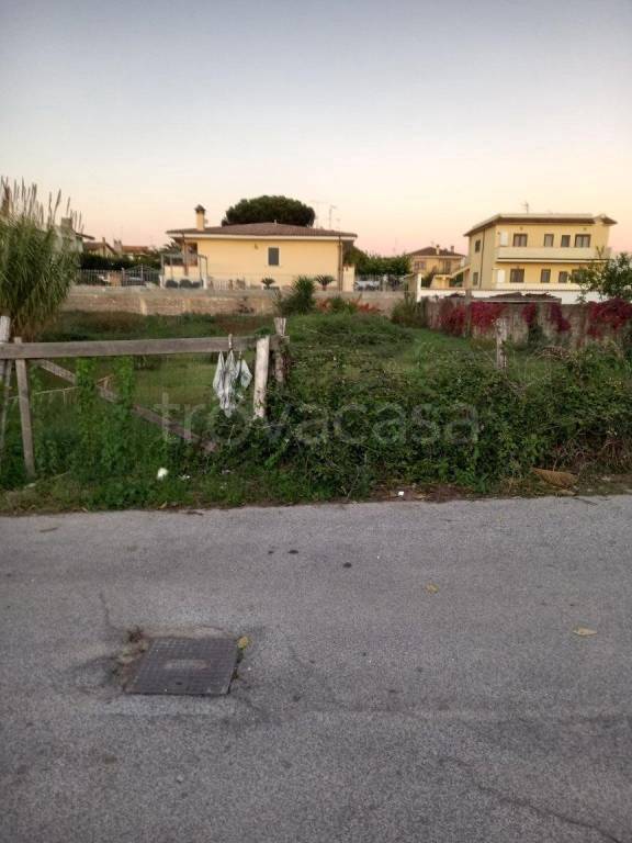 immagine annuncio 5 di 6