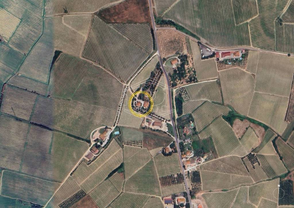 immagine annuncio 12 di 14