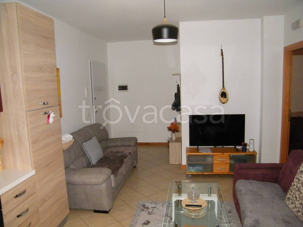 immagine annuncio 2 di 12