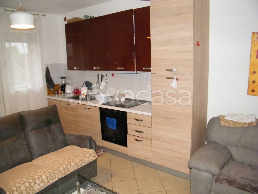 immagine annuncio 3 di 12