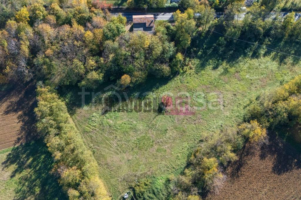 immagine annuncio 6 di 14