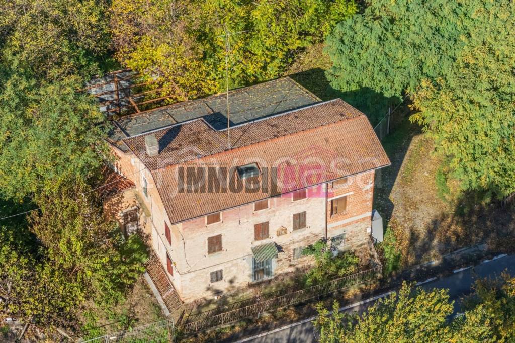 immagine annuncio 12 di 14