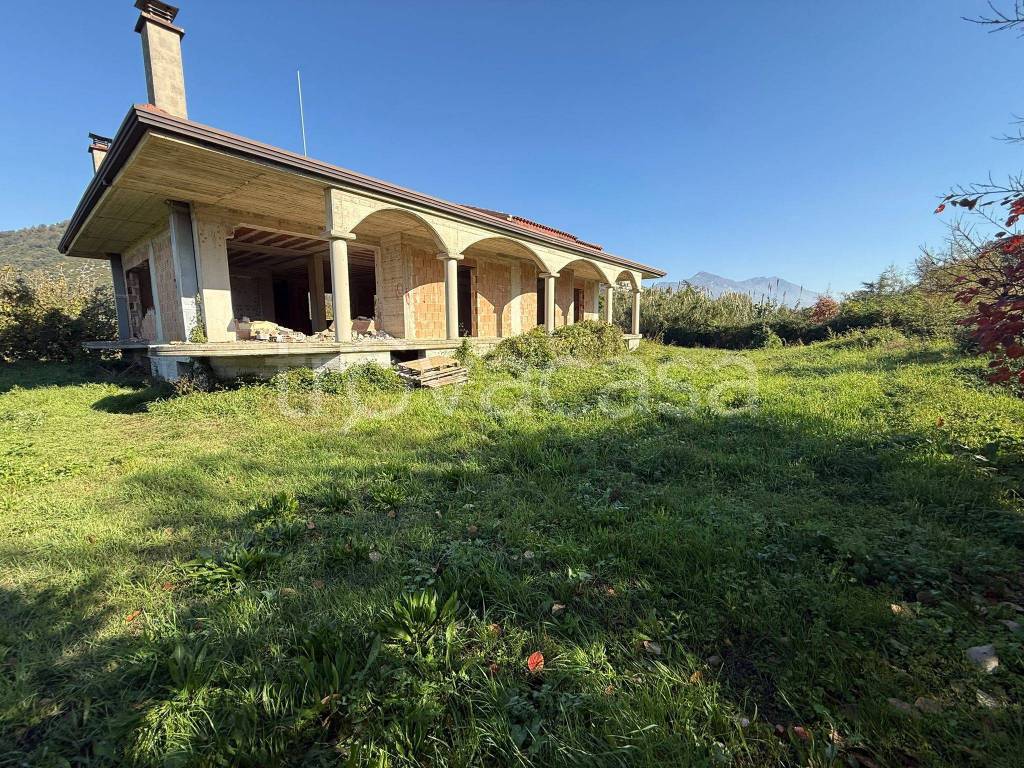 immagine annuncio 2 di 12