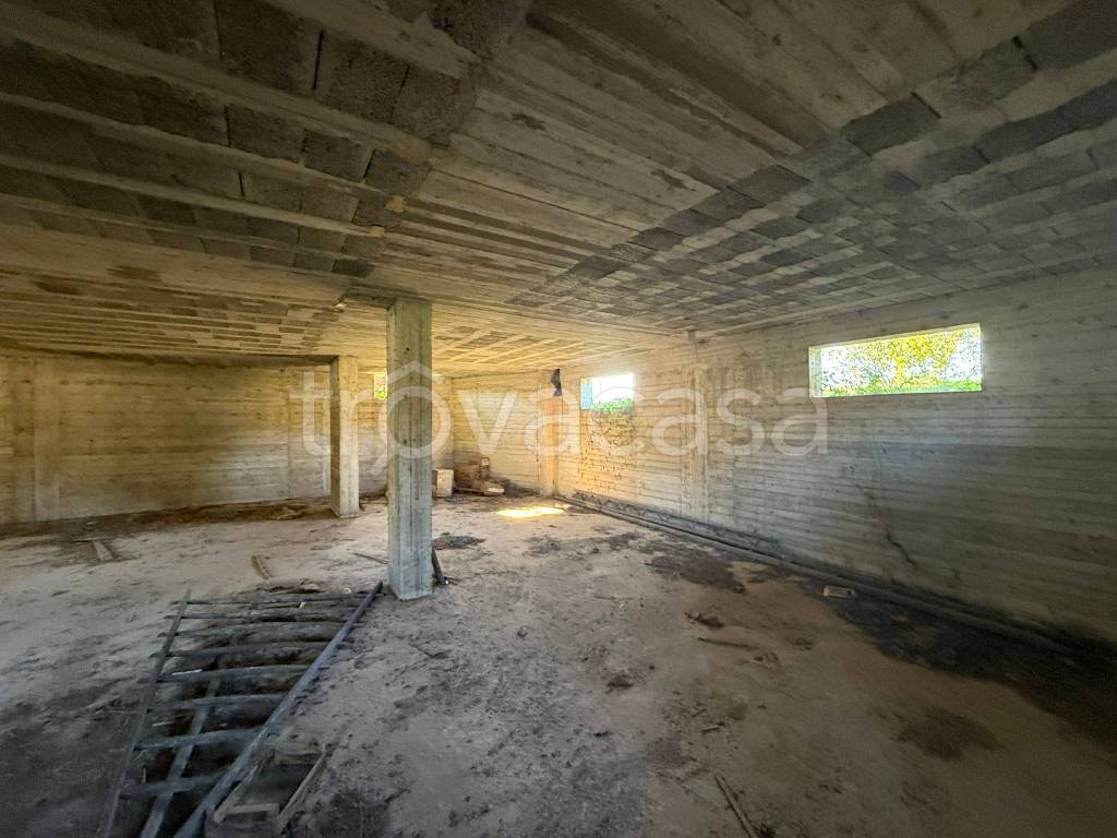 immagine annuncio 8 di 12