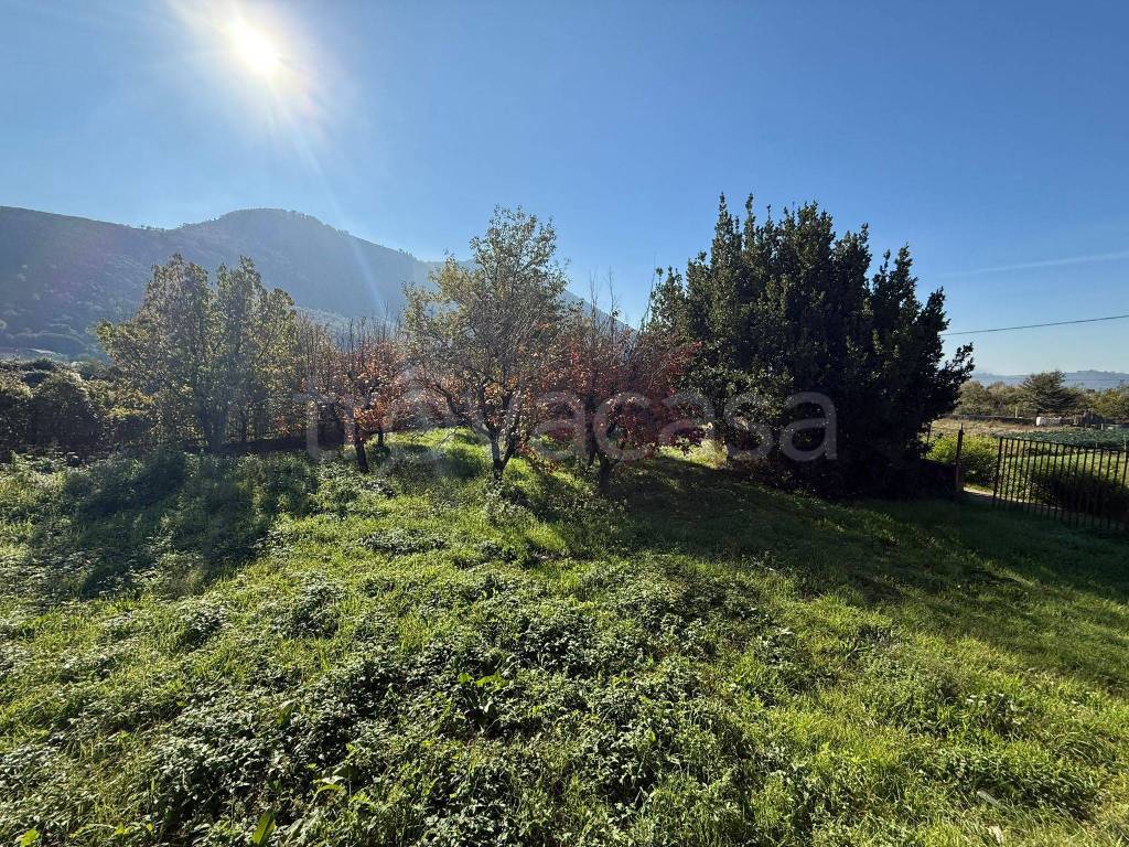 immagine annuncio 10 di 12