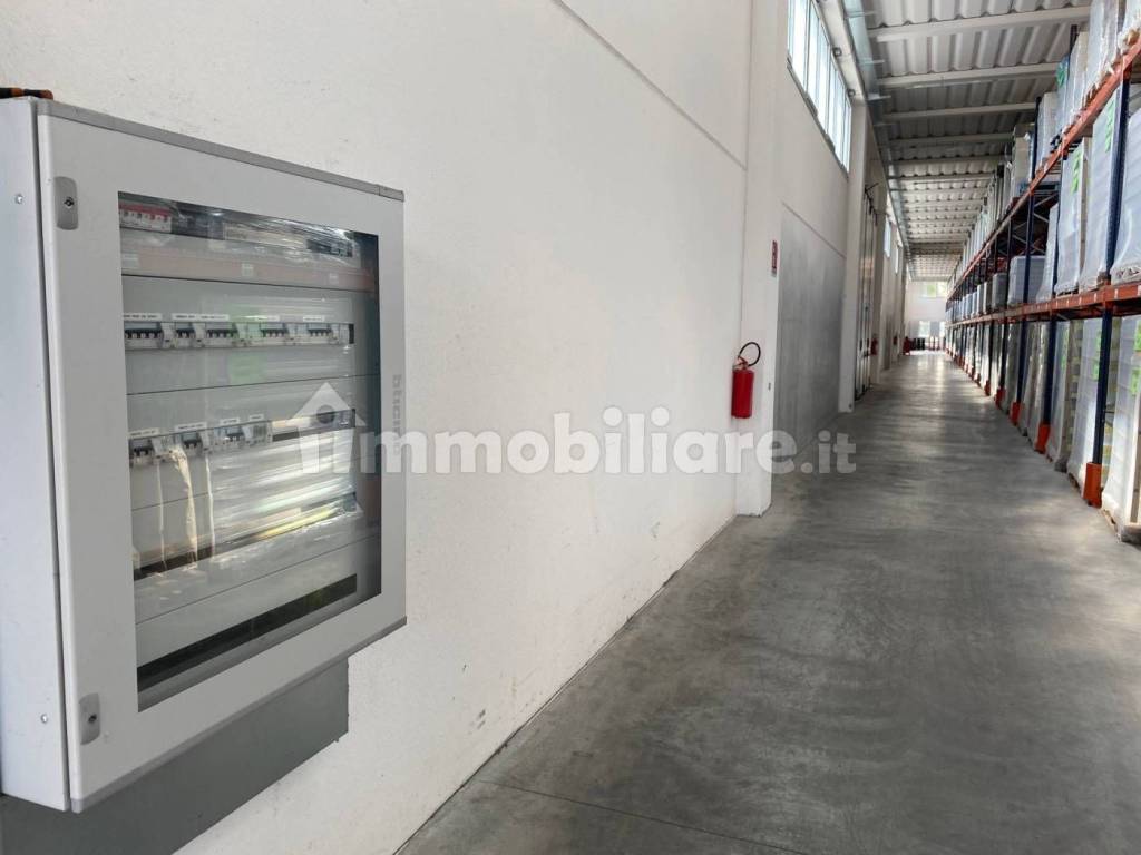 immagine annuncio 5 di 7