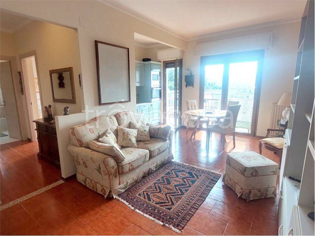 immagine annuncio 3 di 14