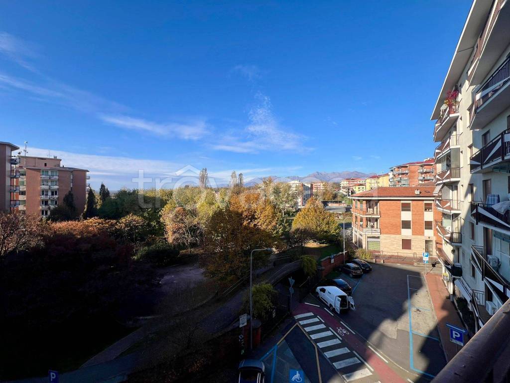 immagine annuncio 3 di 14