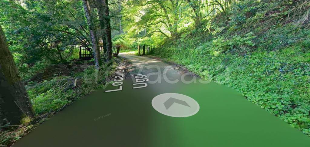 immagine annuncio 5 di 12