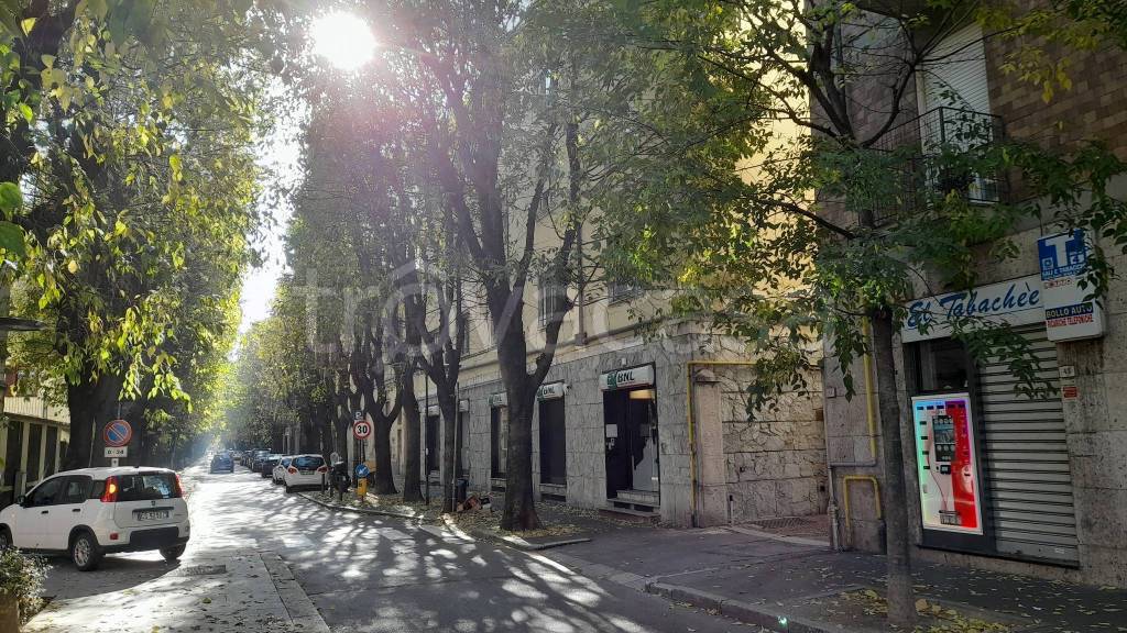 immagine annuncio 6 di 7