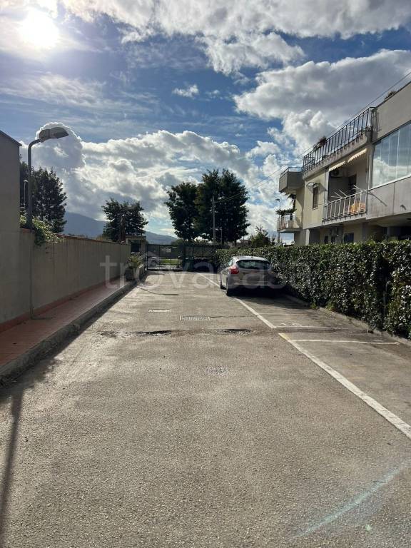 immagine annuncio 6 di 8